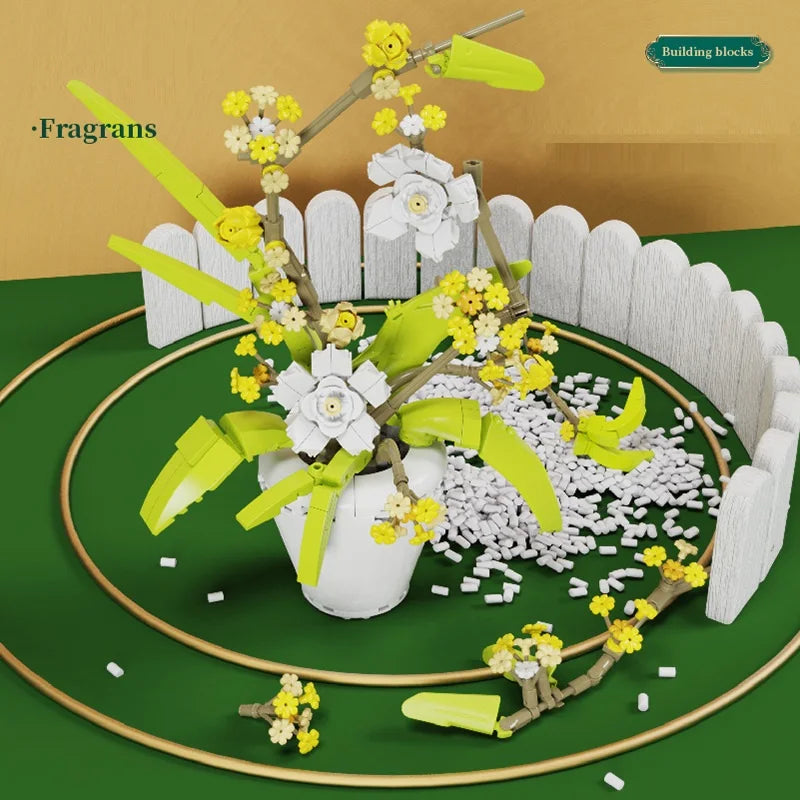 CAN0000076 - Ensemble de bonsaïs d'orchidées à fleurs blanches et jaunes