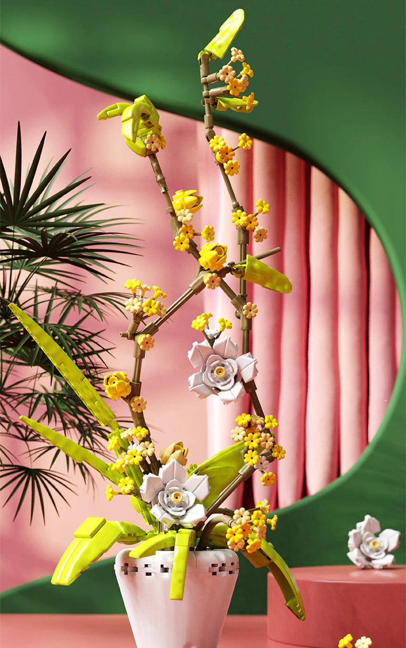 CAN0000076 - Ensemble de bonsaïs d'orchidées à fleurs blanches et jaunes