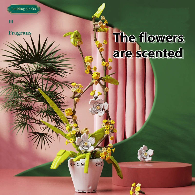 CAN0000076 - Ensemble de bonsaïs d'orchidées à fleurs blanches et jaunes