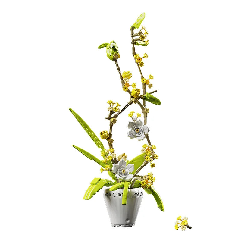 CAN0000076 - Ensemble de bonsaïs d'orchidées à fleurs blanches et jaunes