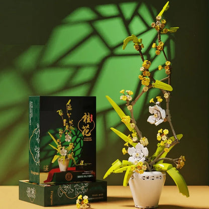 CAN0000076 - Ensemble de bonsaïs d'orchidées à fleurs blanches et jaunes 