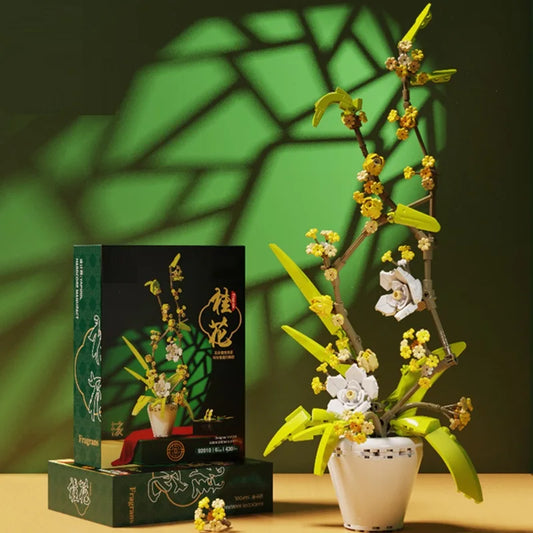 CAN0000076 - Ensemble de bonsaïs d'orchidées à fleurs blanches et jaunes 